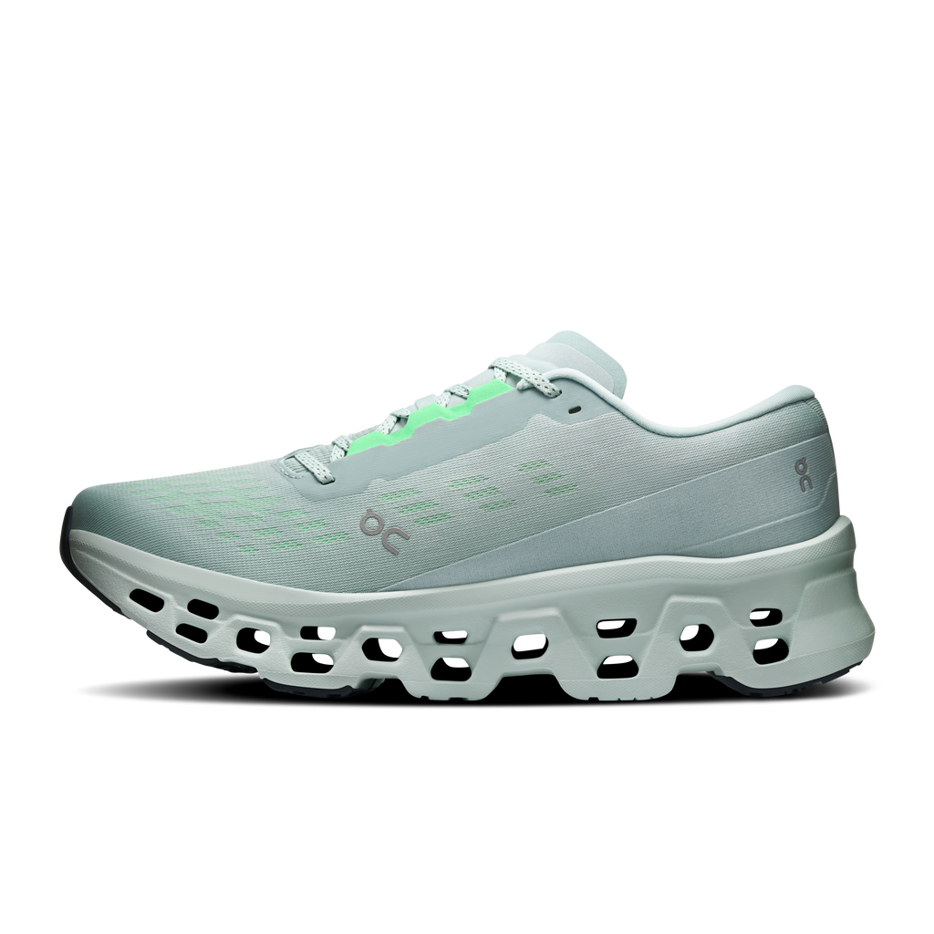 ON Men's Cloudmonster 3 Wide - Brook Flurry
